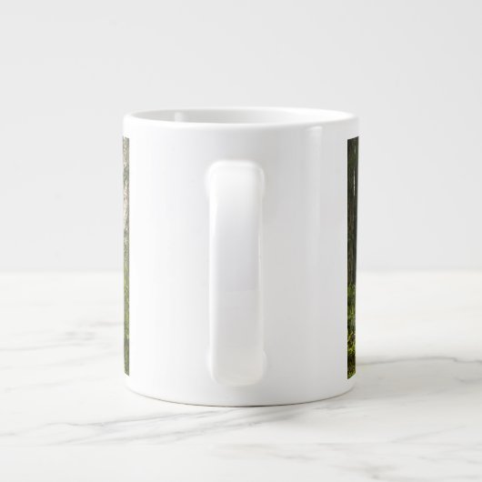 Rhododendron blooming tussen kustmammoetbomen / grote koffiekop (Achterkant)