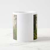 Rhododendron blooming tussen kustmammoetbomen / grote koffiekop (Voorkant)