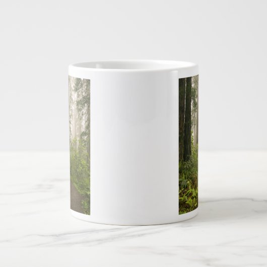 Rhododendron blooming tussen kustmammoetbomen / grote koffiekop (Voorkant)