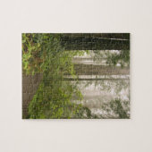 Rhododendron blooming tussen kustmammoetbomen / legpuzzel (Horizontaal)