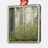 Rhododendron blooming tussen kustmammoetbomen / metalen ornament (Links)