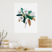 Rhododendron botanische print (Keuken)