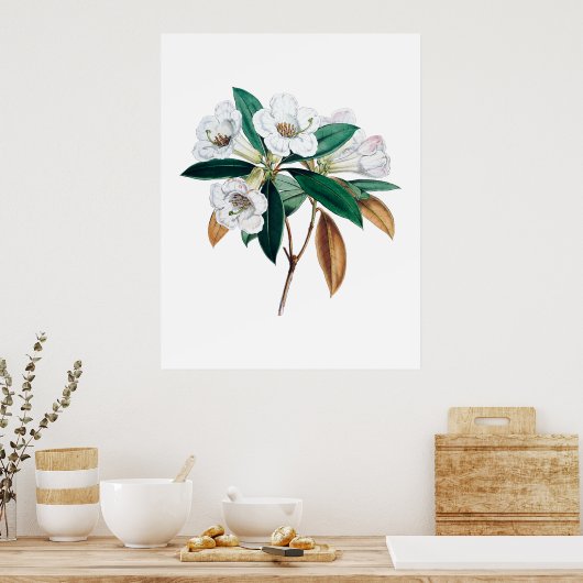 Rhododendron botanische print (Keuken)