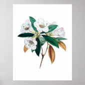Rhododendron botanische print (Voorkant)