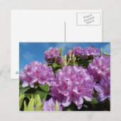 Rhododendron Briefkaart (Voorkant / Achterkant)