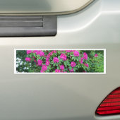 Rhododendron Bumpersticker (Op auto)