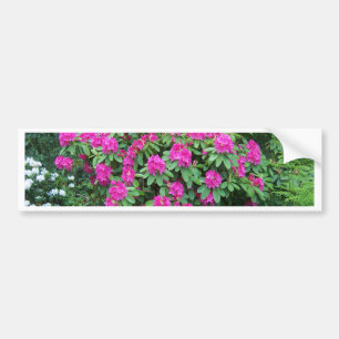 Rhododendron Bumpersticker
