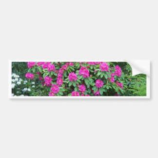 Rhododendron Bumpersticker