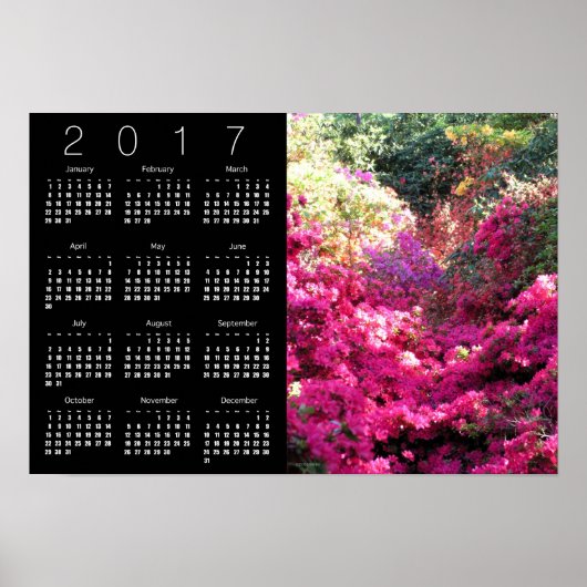 Rhododendron Calendar Poster 2017 (Voorkant)