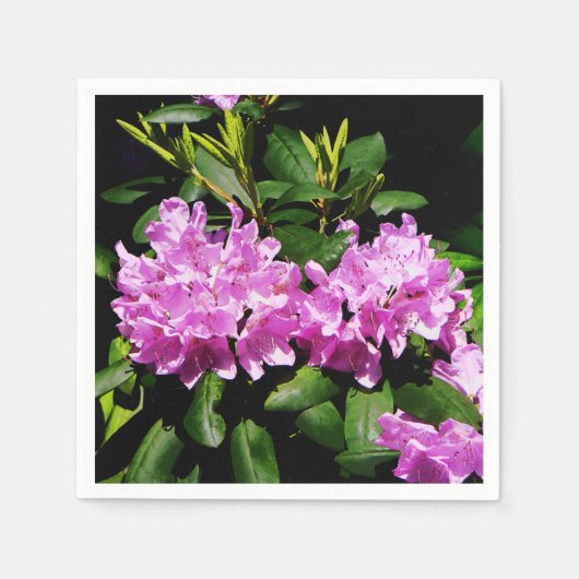 Rhododendron Closeup Servetten (Voorkant)