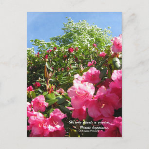 Rhododendron en Dogwood met Chinese Proverb Briefkaart