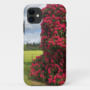 Rhododendron en Schilderachtig Uitzicht in Schotla Case-Mate iPhone Case