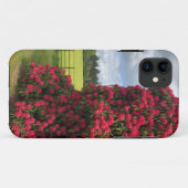 Rhododendron en Schilderachtig Uitzicht in Schotla Case-Mate iPhone Case (Achterkant (horizontaal))