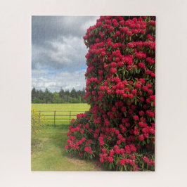 Rhododendron en Schilderachtig Uitzicht in Schotla Legpuzzel