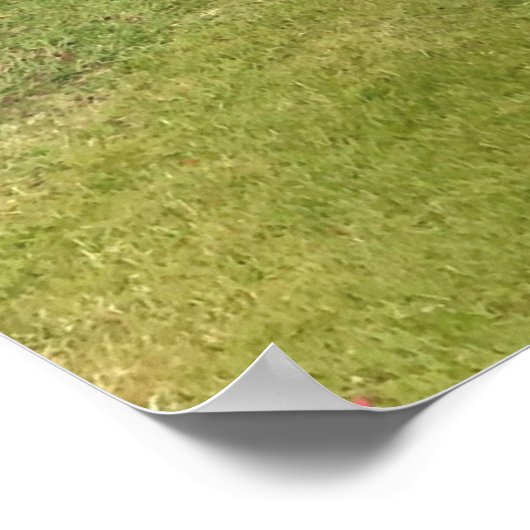 Rhododendron en Schilderachtig Uitzicht in Schotla Poster (Hoek)