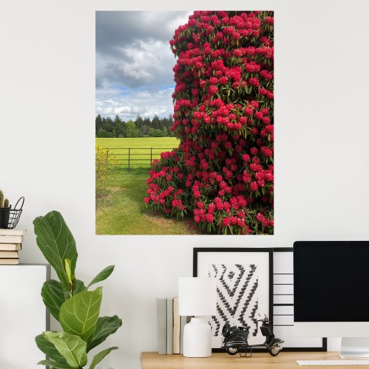 Rhododendron en Schilderachtig Uitzicht in Schotla Poster (Thuiskantoor)