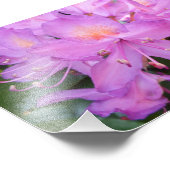 Rhododendron Flower Photo Print Foto Afdruk (Hoek)