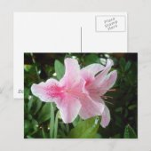 Rhododendron Flowers Briefkaart (Voorkant / Achterkant)