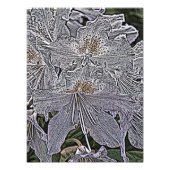 RHODODENDRON FLOWERS FOTO AFDRUK (Voorkant)