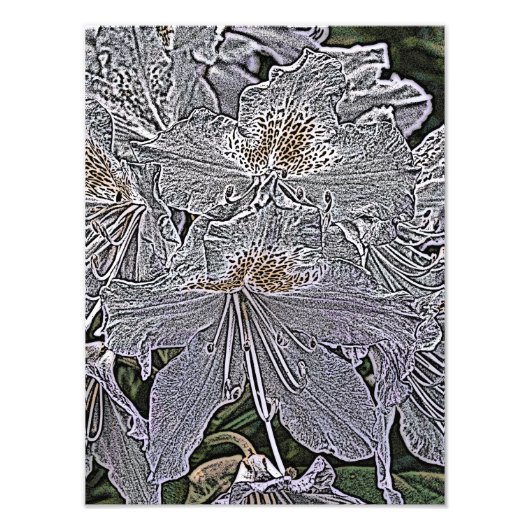 RHODODENDRON FLOWERS FOTO AFDRUK (Voorkant)