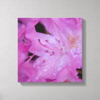 Rhododendron gewikkeld canvas