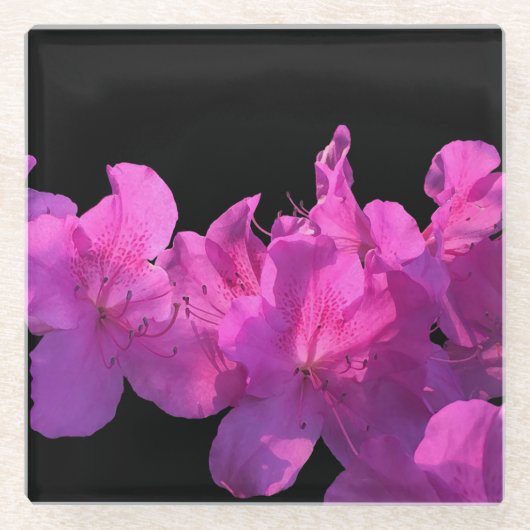 Rhododendron Glazen Onderzetter (Voorkant)