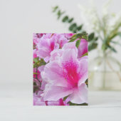 Rhododendron Hirado Azarea Briefkaart (Staand voorkant)
