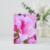 Rhododendron Hirado Azarea Briefkaart (Staand voorkant)