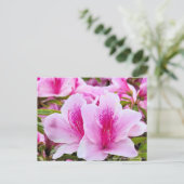 Rhododendron Hirado Azarea Briefkaart (Staand voorkant)
