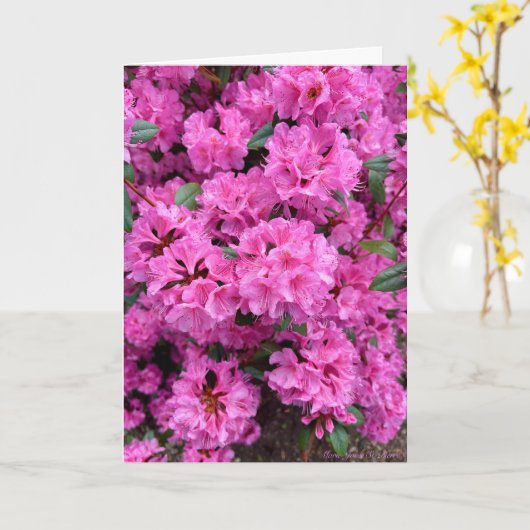 Rhododendron in Full Bloom! Kaart (Gele Bloem)