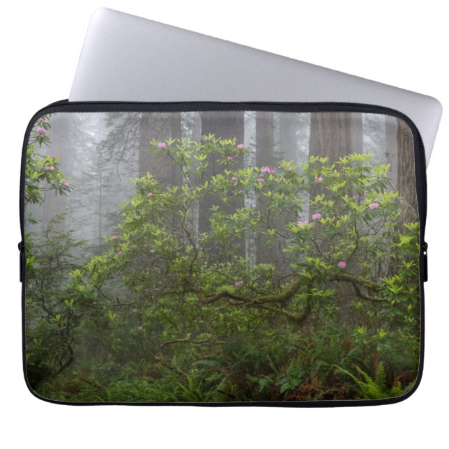 Rhododendron in Redwood National Park California Laptop Sleeve (Voorkant)