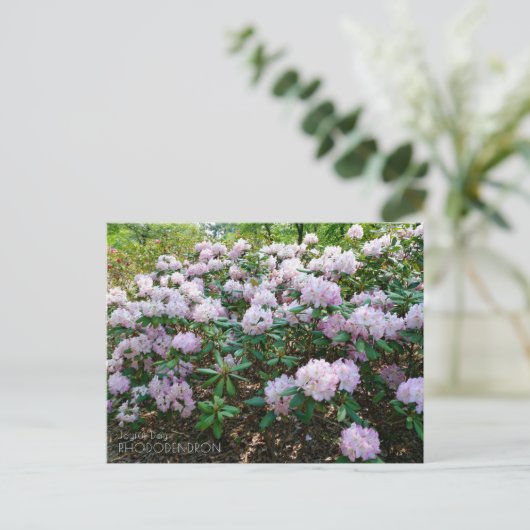 Rhododendron "Joyful Day" Briefkaart (Staand voorkant)
