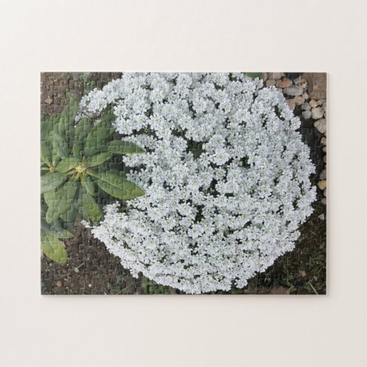 Rhododendron Leaves Snoep Tufts Flowers Puzzles Legpuzzel (Horizontaal)