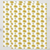 Rhododendron luteum (Pontic Azalea) (Voorkant / Achterkant)