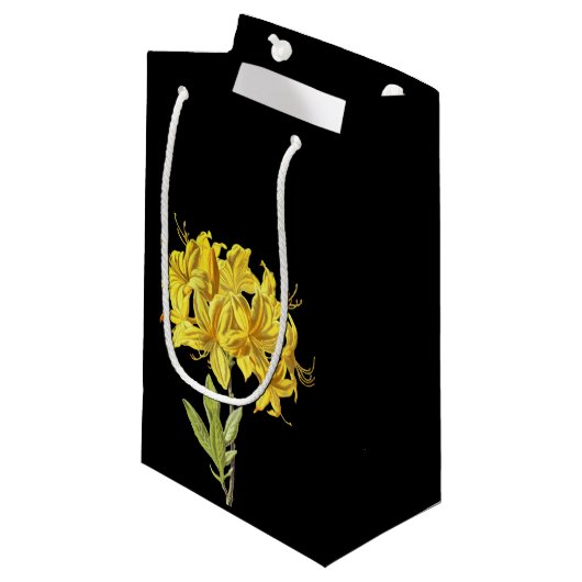 Rhododendron luteum (Pontic Azalea) Klein Cadeauzakje (Voorkant Gekanteld)