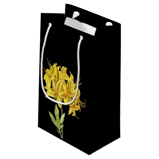 Rhododendron luteum (Pontic Azalea) Klein Cadeauzakje (Achterkant Gekanteld)