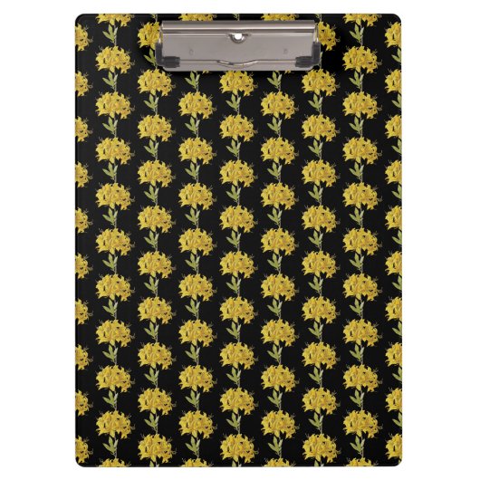 Rhododendron luteum (Pontic Azalea) Klembord (Voorkant)