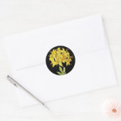Rhododendron luteum (Pontic Azalea) Ronde Sticker (Envelop)