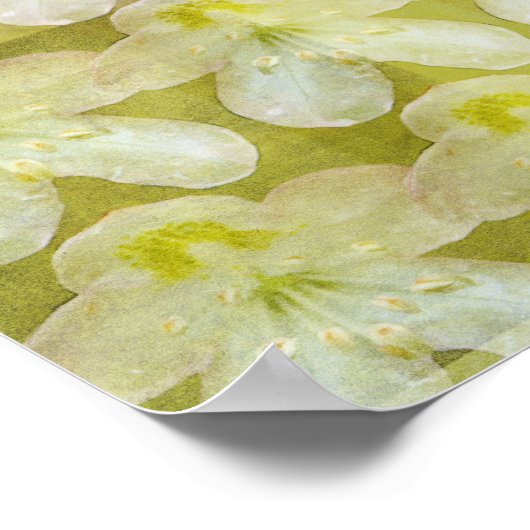 Rhododendron Max Poster (Hoek)