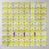 Rhododendron Max Poster (Voorkant)