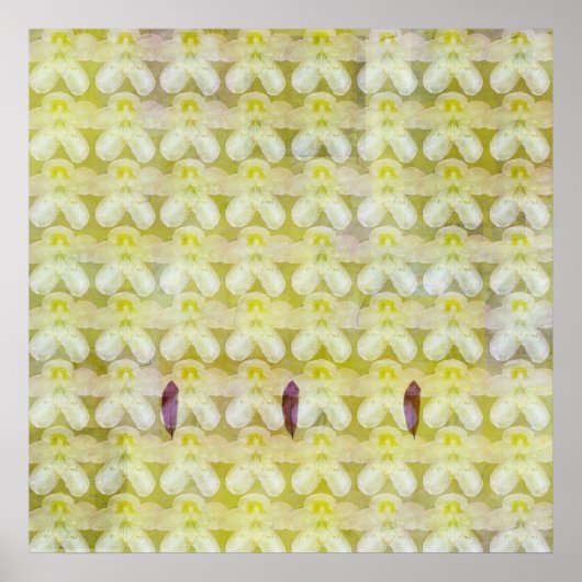 Rhododendron Max Poster (Voorkant)