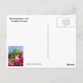 Rhododendron met Zweeds Proverb-Briefkaart Briefkaart (Achterkant)
