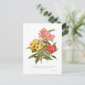 Rhododendron multicolor hybriden briefkaart (Staand voorkant)