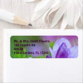 Rhododendron na de regen etiket (Insitu)