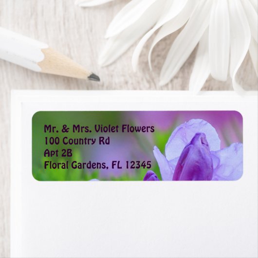 Rhododendron na de regen etiket (Insitu)