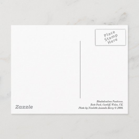 Rhododendron Ponticum Briefkaart (Achterkant)