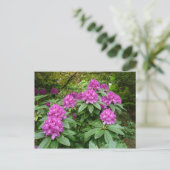 Rhododendron Ponticum Briefkaart (Staand voorkant)