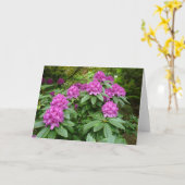 Rhododendron Ponticum Kaart (Gele Bloem)