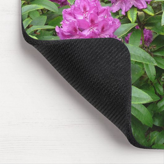 Rhododendron Ponticum Muismat (Hoek)