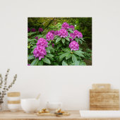 Rhododendron Ponticum Poster (Keuken)